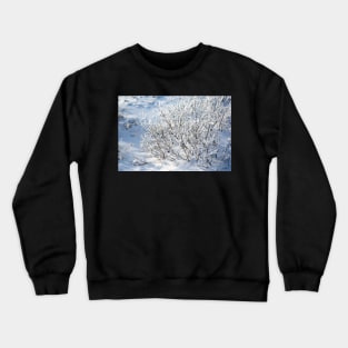 Hoarfrost on Arctic Willow Crewneck Sweatshirt